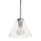 Dainolite 1 Light Pendant, Satin Chrome with Clear Glass RSW-91P-SC-Clear