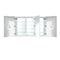 Krugg Svange 66" X 42" LED Medicine Cabinet with Dimmer and Defogger SVANGE6642DLRR