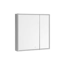 Aquadom Edge Royale LED Medicine Mirror Cabinet Recessed or Surface Mounted Defogger Dimmer LED 3X Makeup Mirror Electrical Outlets ER-3632