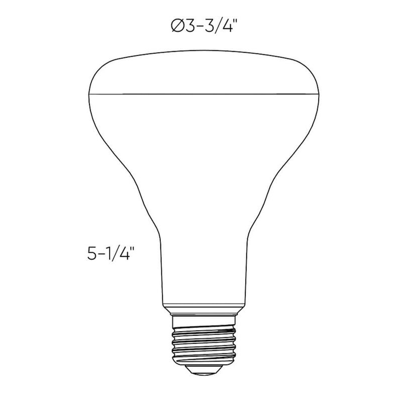 Dals Lighting DCPro Smart BR30 LED Bulb DCP-BLBBR30