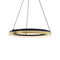 Dals Lighting 14" Pendant Double Ring PDR14-CC-BG