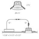 Dals Lighting 4" Round Indoor or Outdoor Regressed Gimbal Down Light RGR4-CC-BK