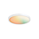 Dals Lighting 14" Smart RGB CCT Flush Mount SM-FM14WH