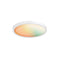 Dals Lighting 14" Smart RGB CCT Flush Mount SM-FM14WH